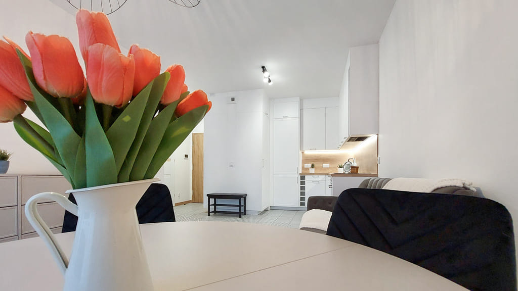 Mieszkanie 2 pokojowe na Wynajem