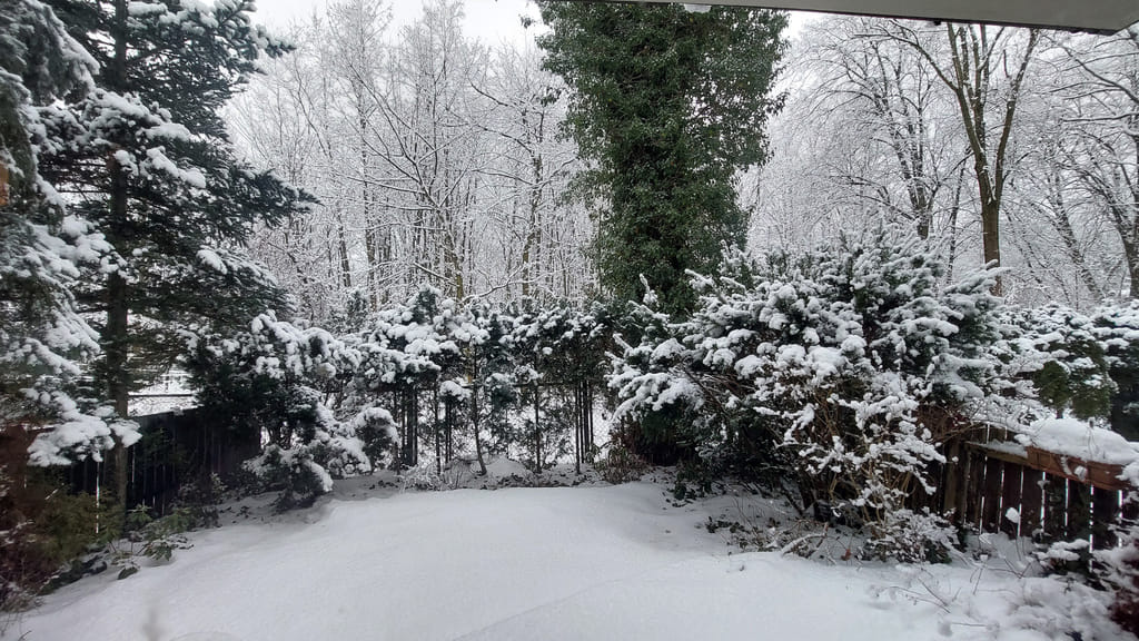 Dom 5 pokojowe na Wynajem