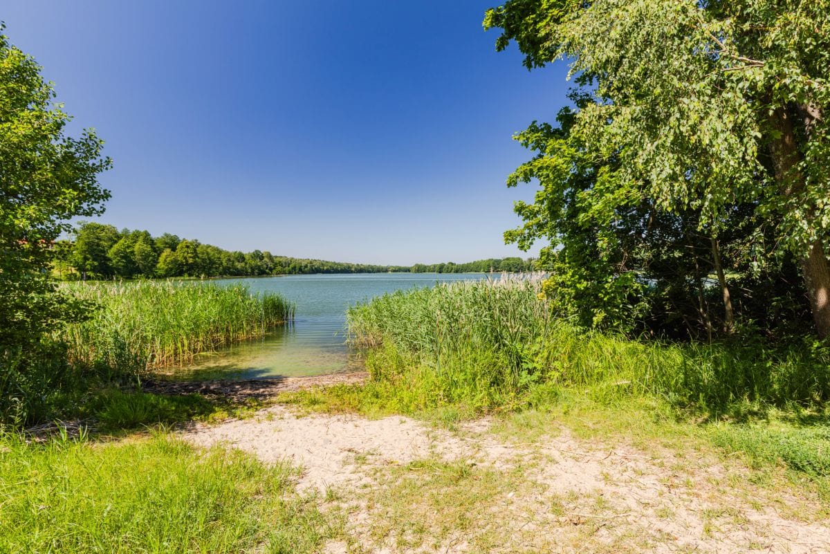 Dom 8 pokojowe na Sprzedaż