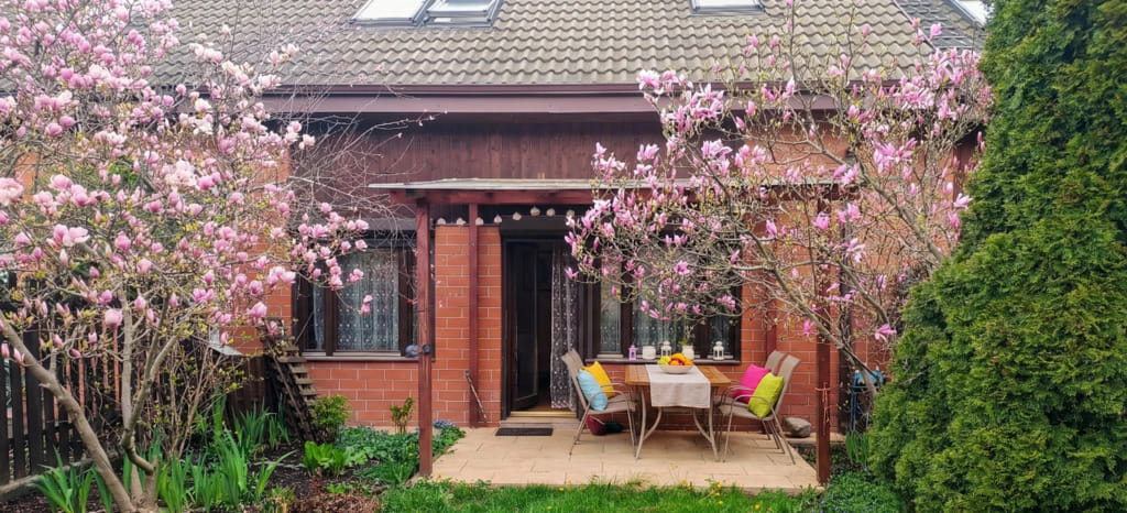 Dom 4 pokojowe na Wynajem