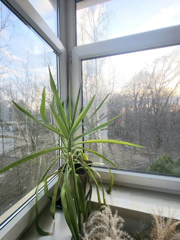 Mieszkanie 2 pokojowe na Wynajem