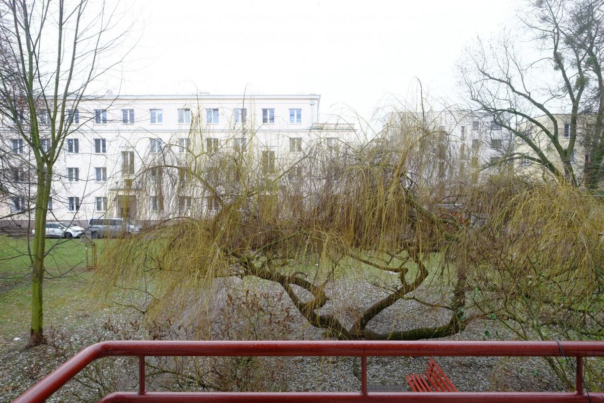 Mieszkanie 2 pokojowe na Wynajem