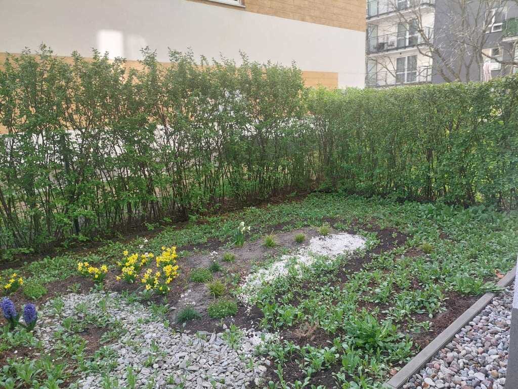 Mieszkanie 2 pokojowe na Wynajem