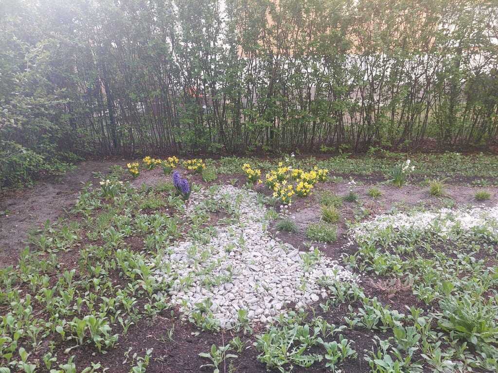 Mieszkanie 2 pokojowe na Wynajem