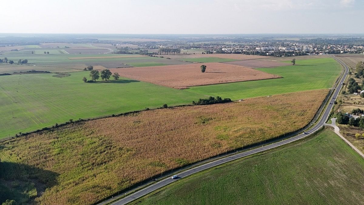 Działka  pokojowe na Sprzedaż