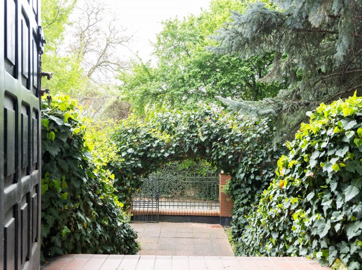 Dom 5 pokojowe na Sprzedaż