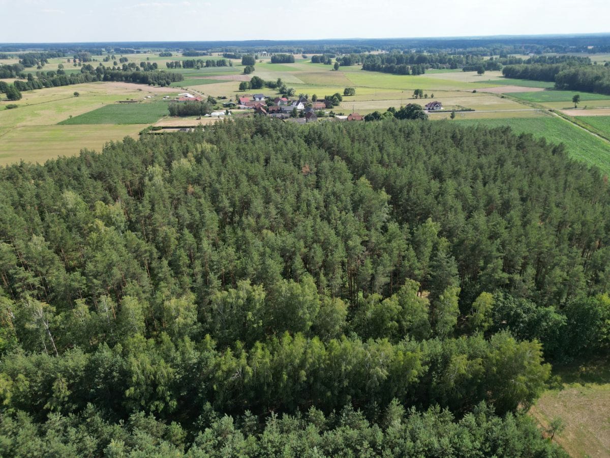 Działka  pokojowe na Sprzedaż