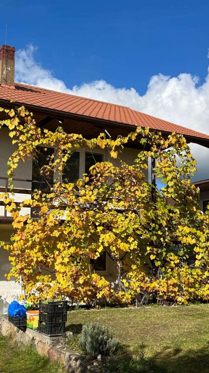 Dom 6 pokojowe na Sprzedaż