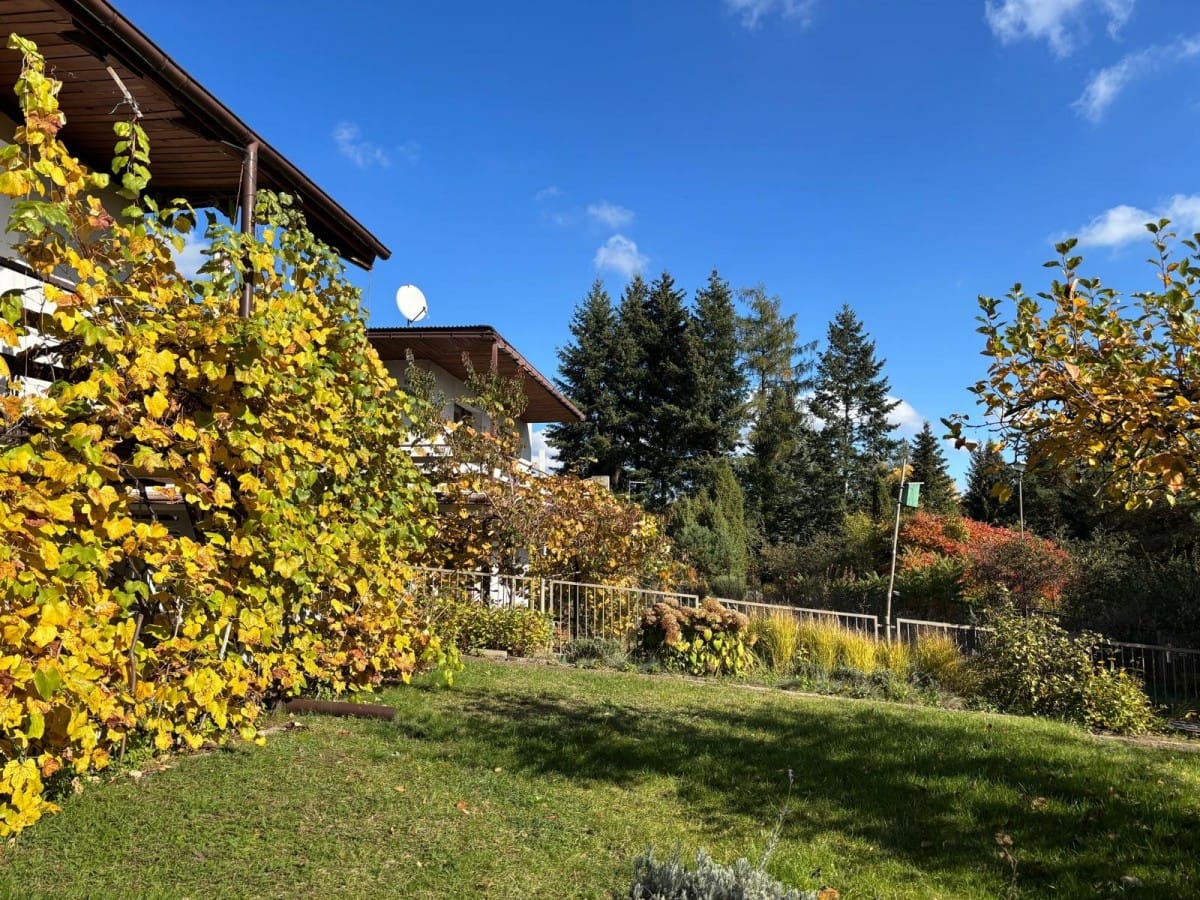 Dom 6 pokojowe na Sprzedaż