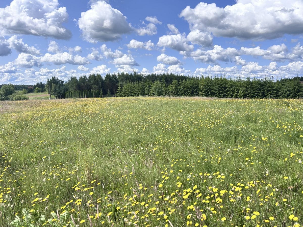Działka  pokojowe na Sprzedaż