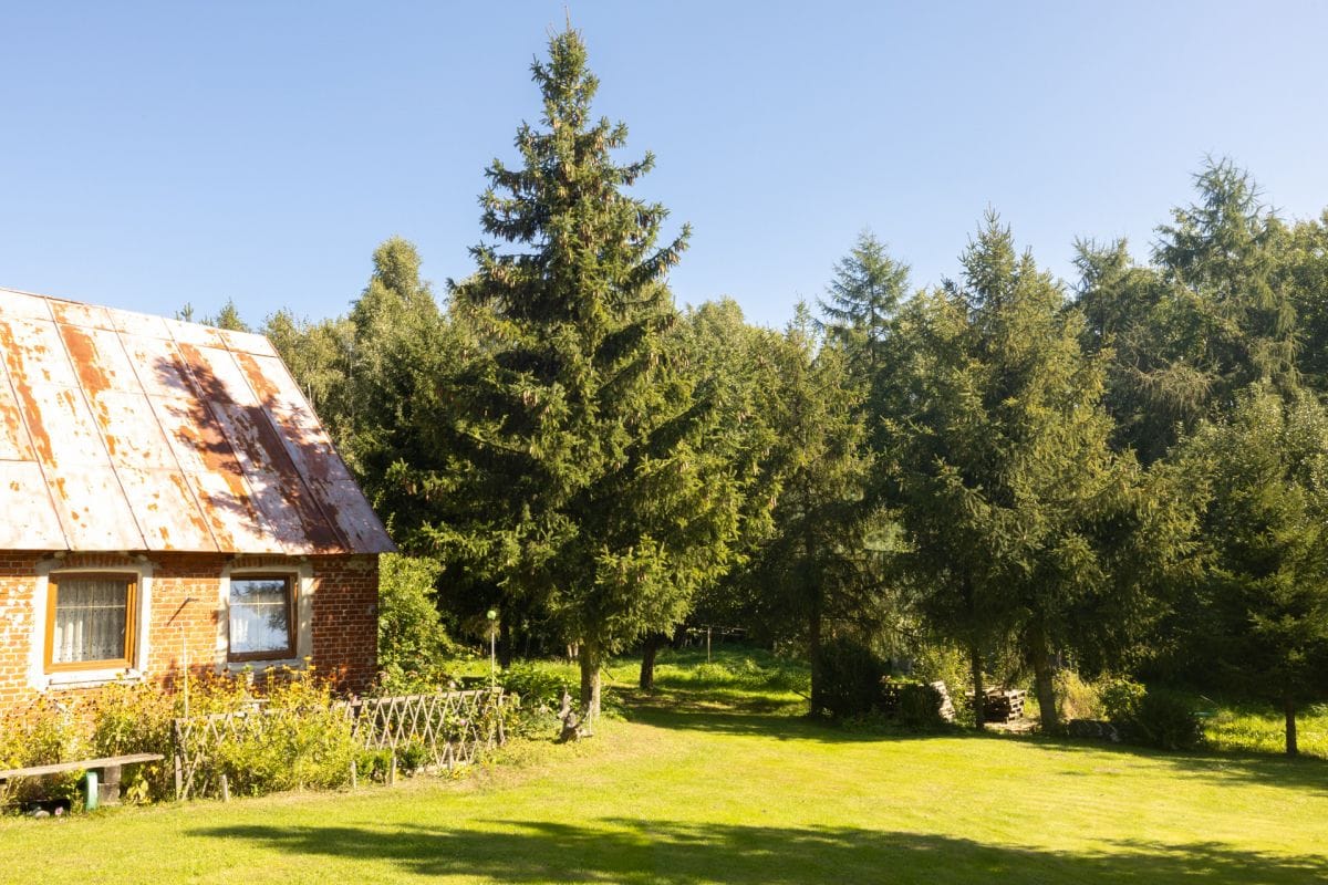 Dom 4 pokojowe na Sprzedaż