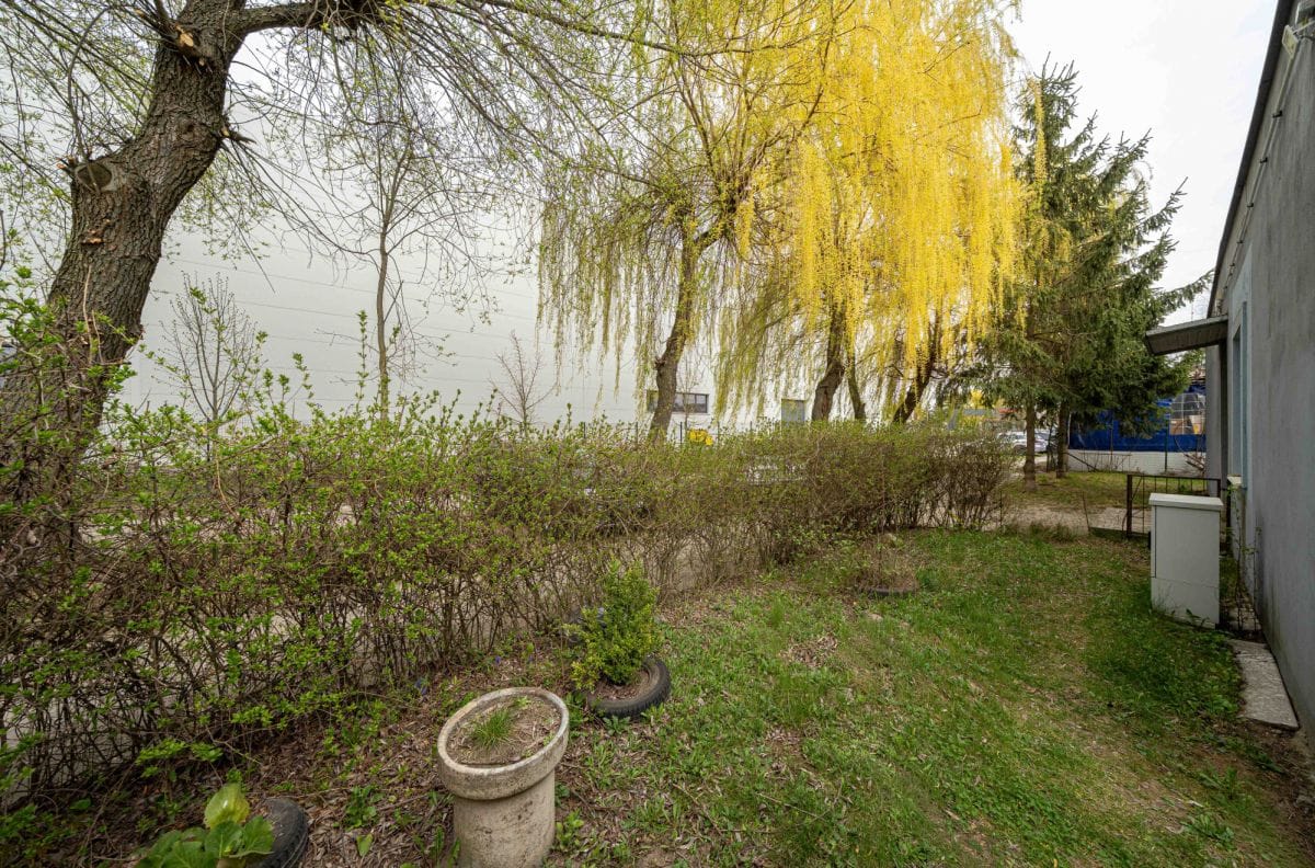 Mieszkanie 5 pokojowe na Sprzedaż