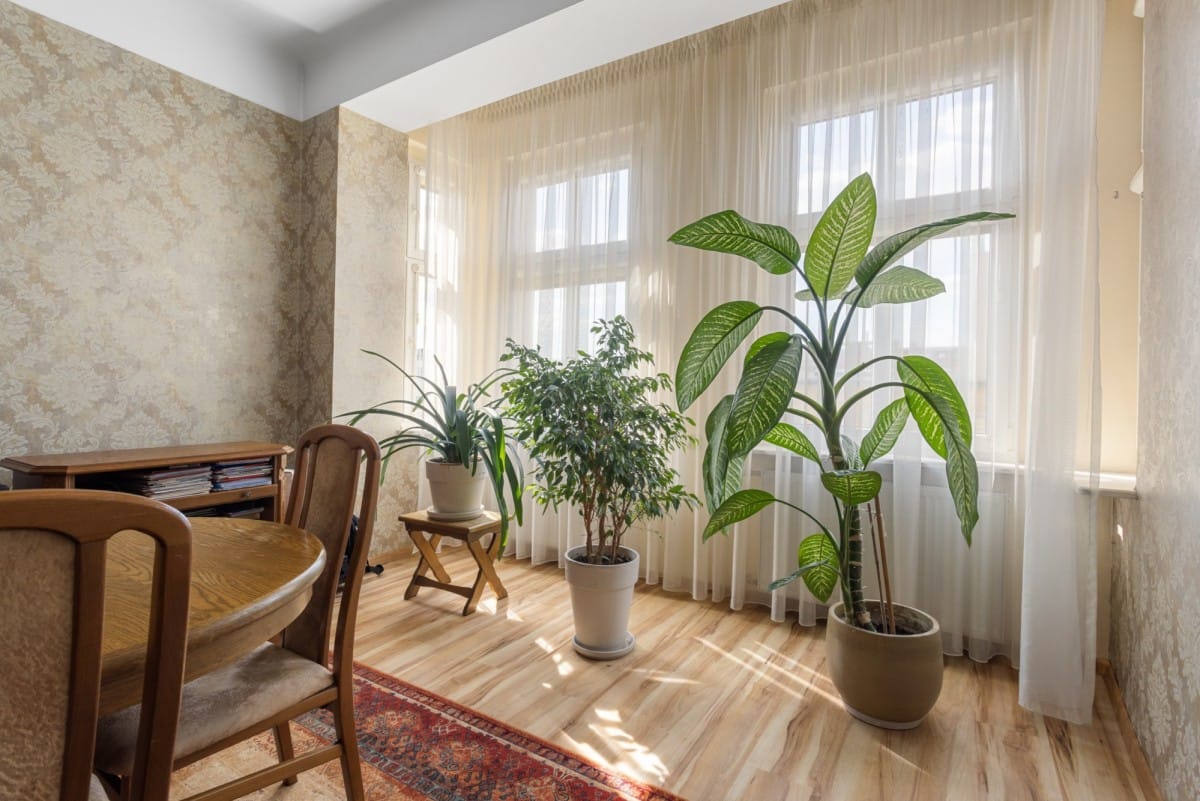 Mieszkanie 4 pokojowe na Sprzedaż