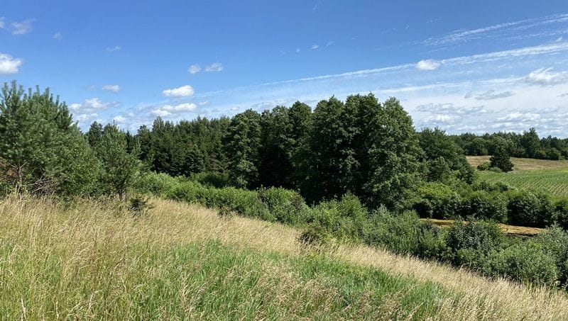 Dom 5 pokojowe na Sprzedaż