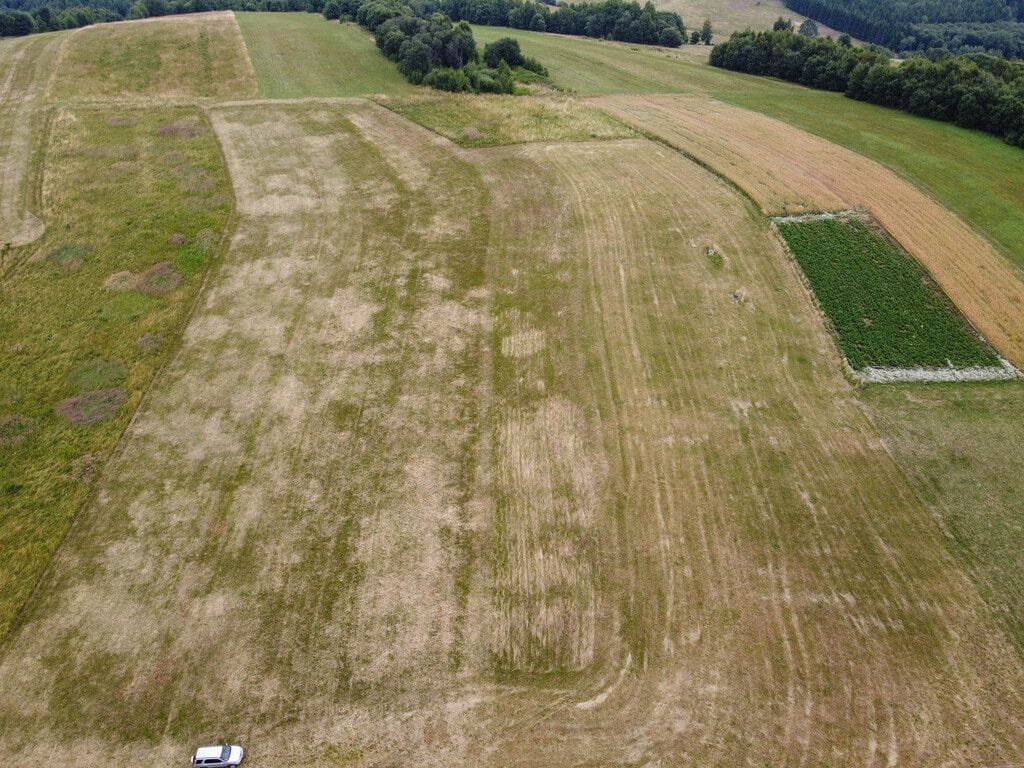 Działka  pokojowe na Sprzedaż