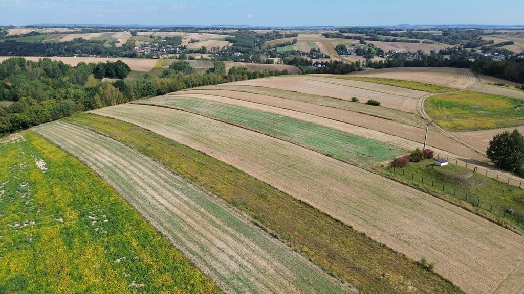 Działka  pokojowe na Sprzedaż