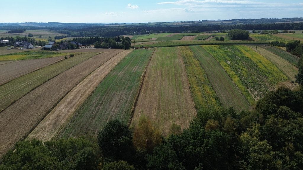 Działka  pokojowe na Sprzedaż