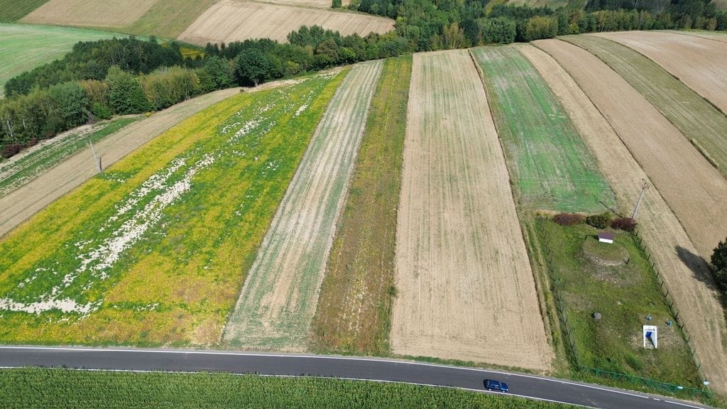 Działka  pokojowe na Sprzedaż