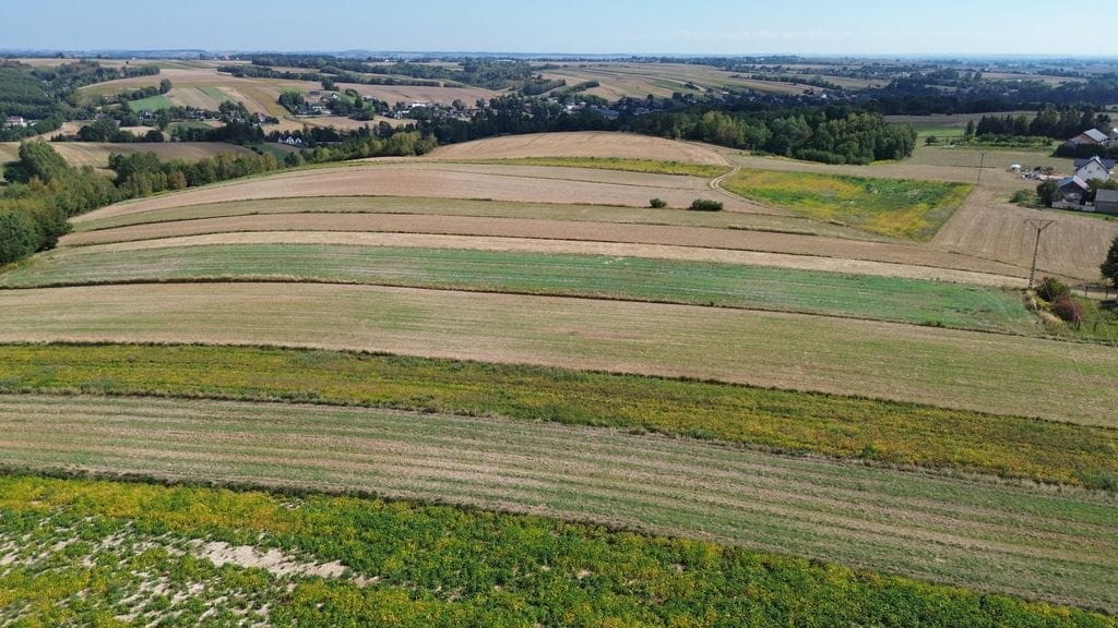 Działka  pokojowe na Sprzedaż