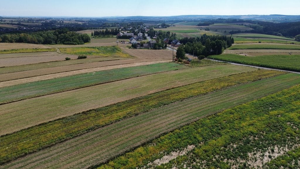 Działka  pokojowe na Sprzedaż
