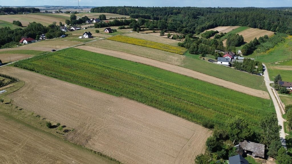 Działka  pokojowe na Sprzedaż