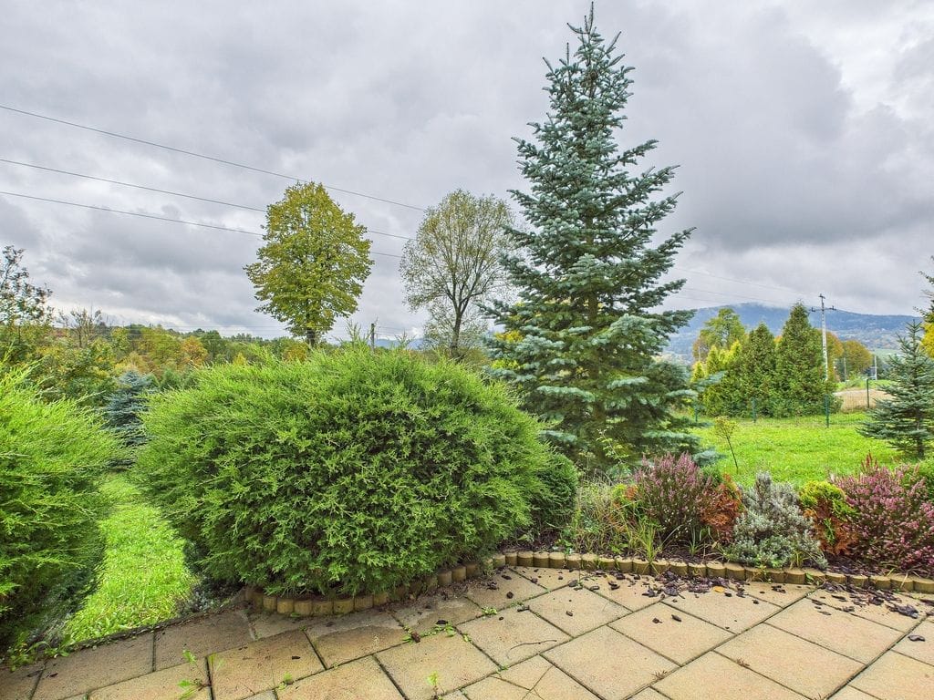 Dom 5 pokojowe na Sprzedaż