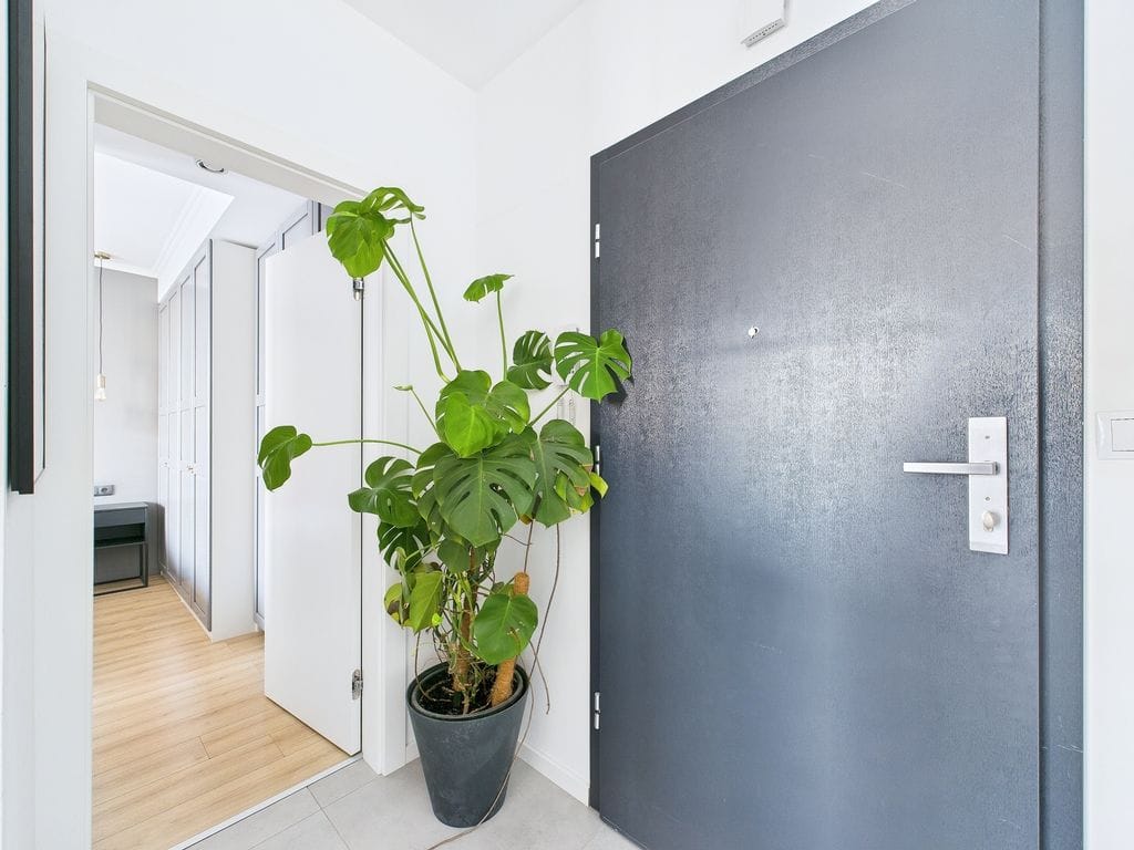 Mieszkanie 2 pokojowe na Wynajem