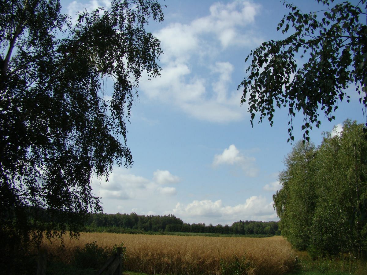 Dom 3 pokojowe na Sprzedaż