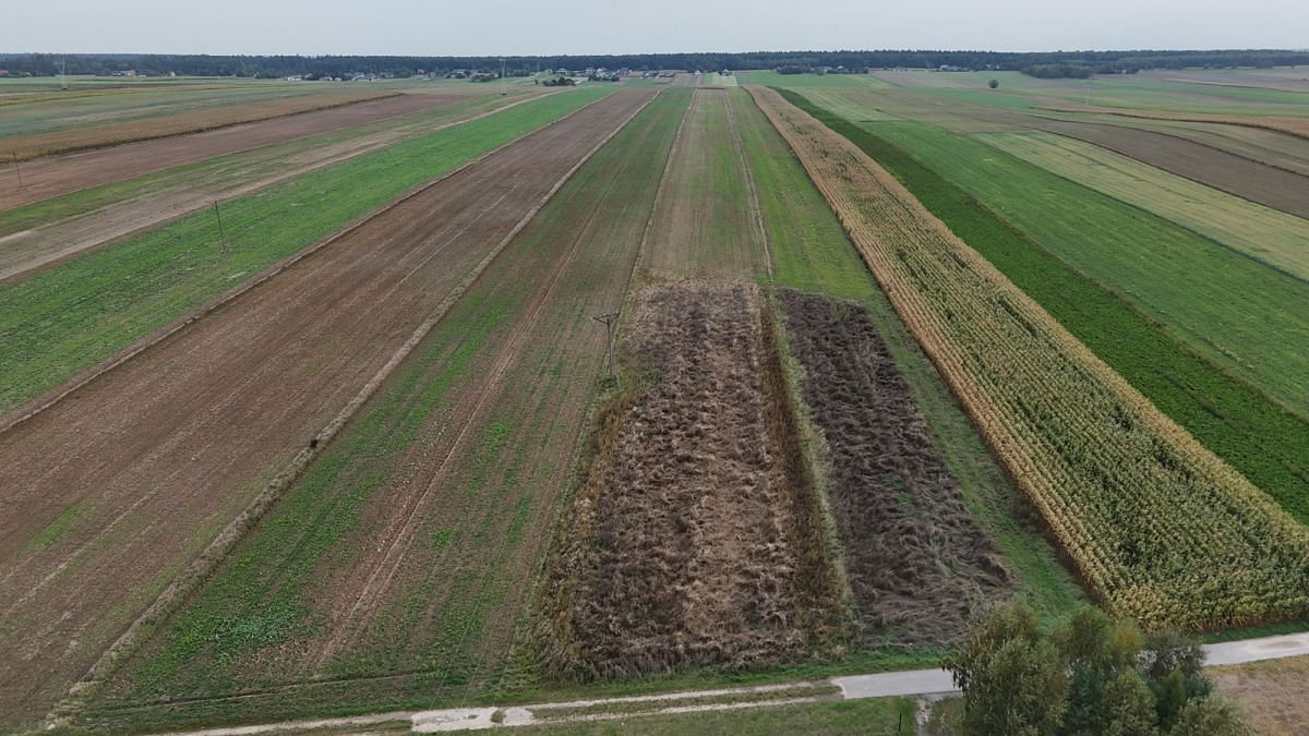 Działka  pokojowe na Sprzedaż