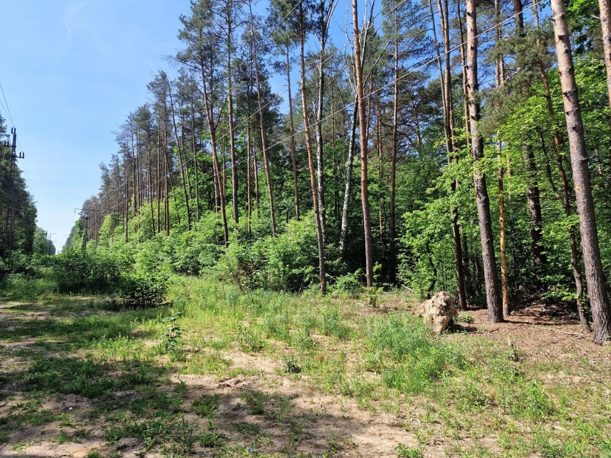 Działka  pokojowe na Sprzedaż