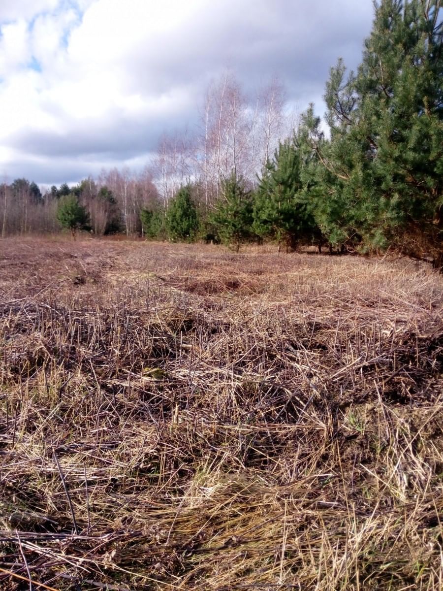Działka na Sprzedaż  pokoje biuro Tur Nieruchomości Działka  pokojowe na Sprzedaż