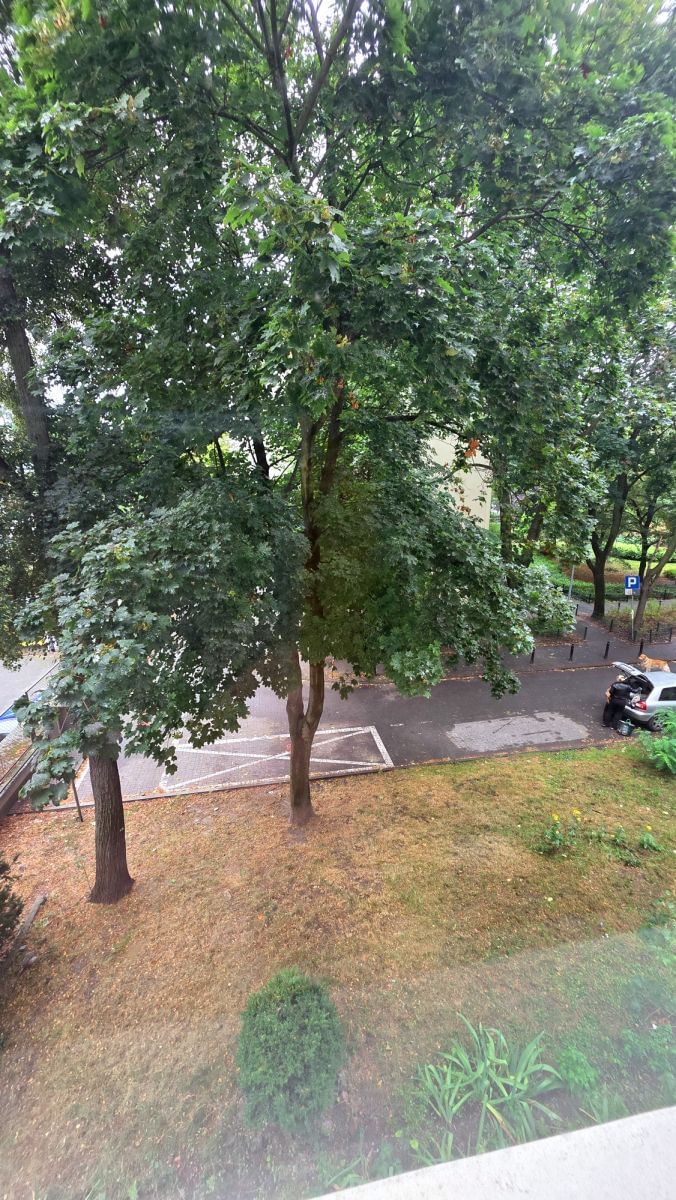 Mieszkanie 3 pokojowe na Wynajem