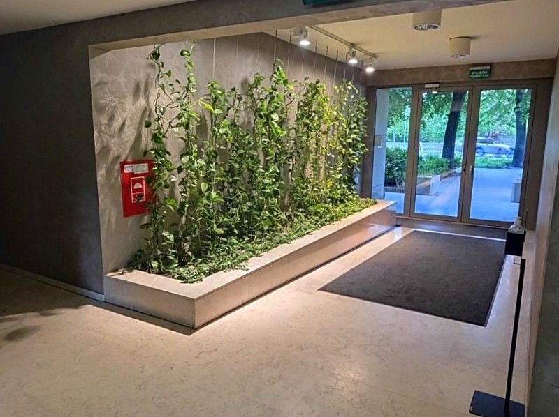 Mieszkanie 2 pokojowe na Wynajem