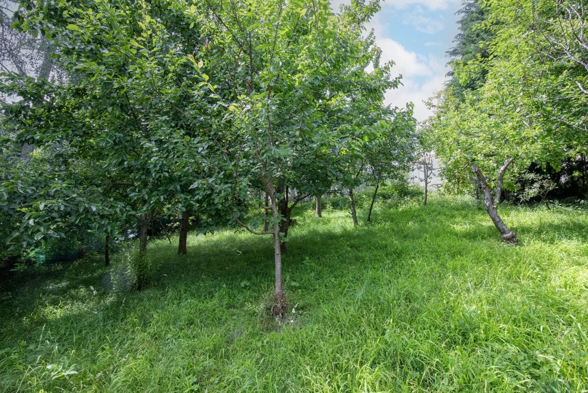 Dom 4 pokojowe na Sprzedaż