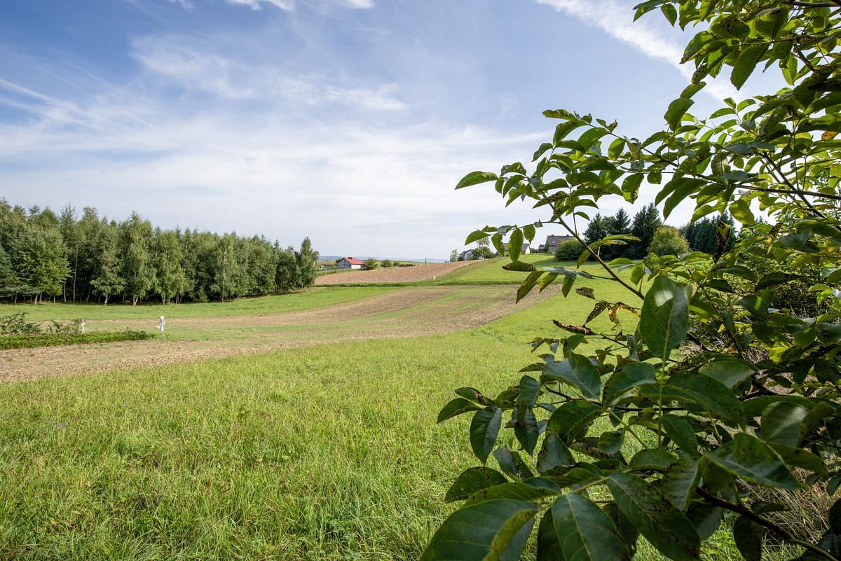 Działka  pokojowe na Sprzedaż