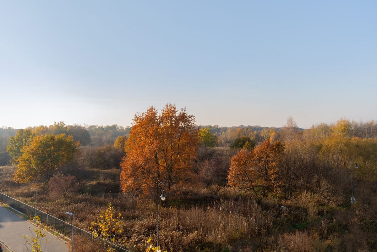 Mieszkanie 2 pokojowe na Wynajem