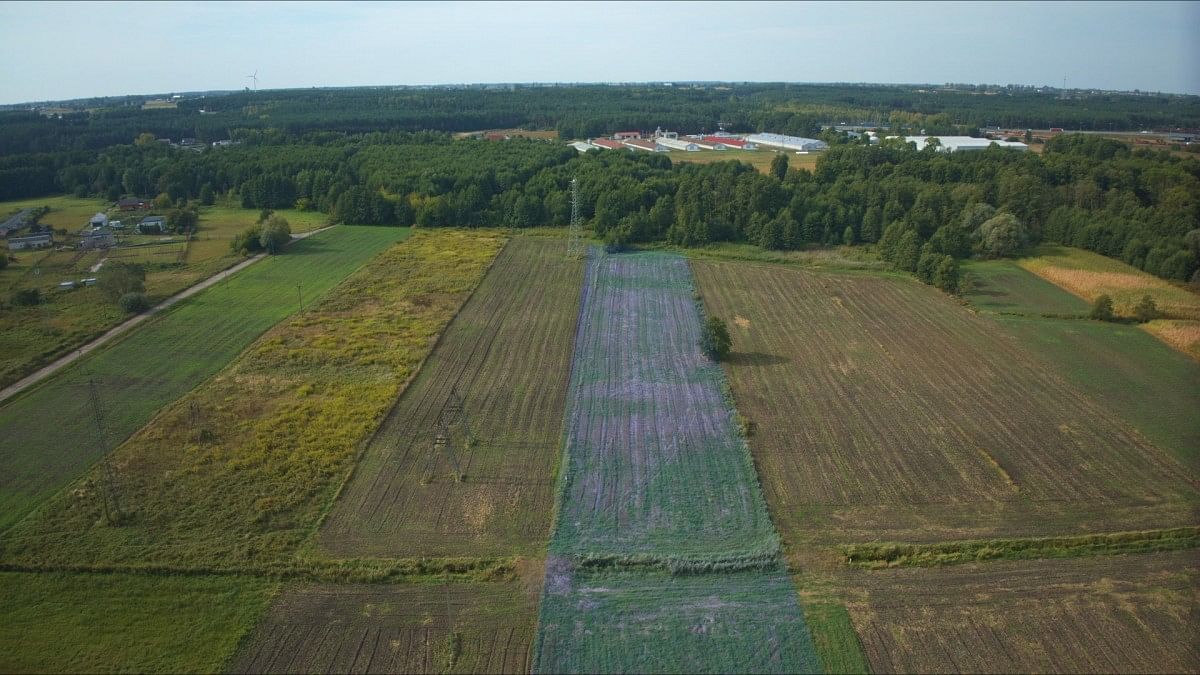 Działka  pokojowe na Sprzedaż