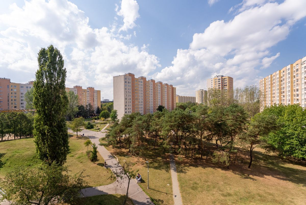 Mieszkanie 3 pokojowe na Wynajem