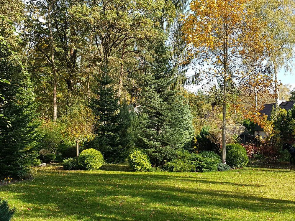 Dom 5 pokojowe na Sprzedaż