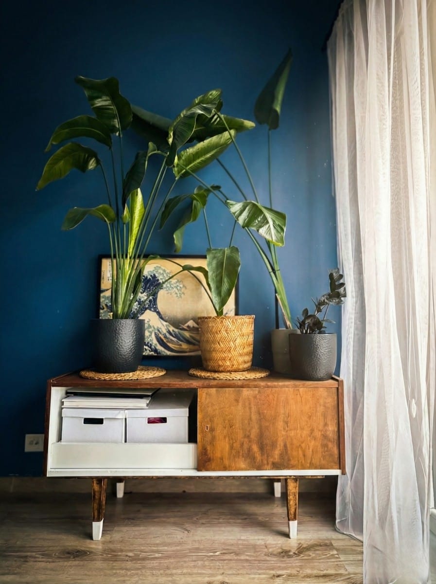 Mieszkanie 2 pokojowe na Wynajem