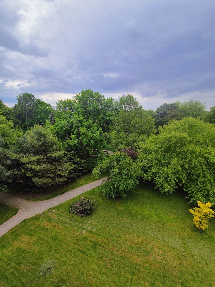 Mieszkanie 3 pokojowe na Wynajem