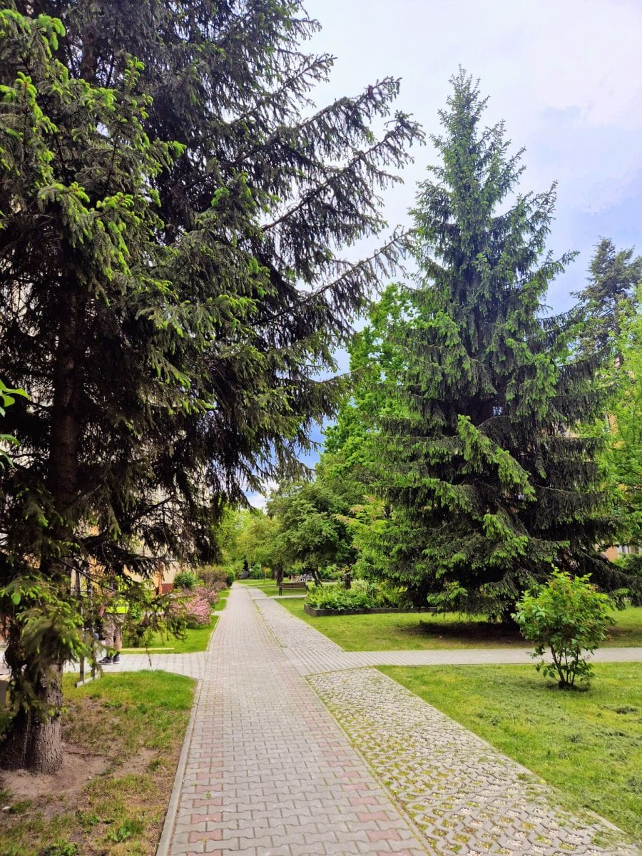 Mieszkanie 3 pokojowe na Wynajem