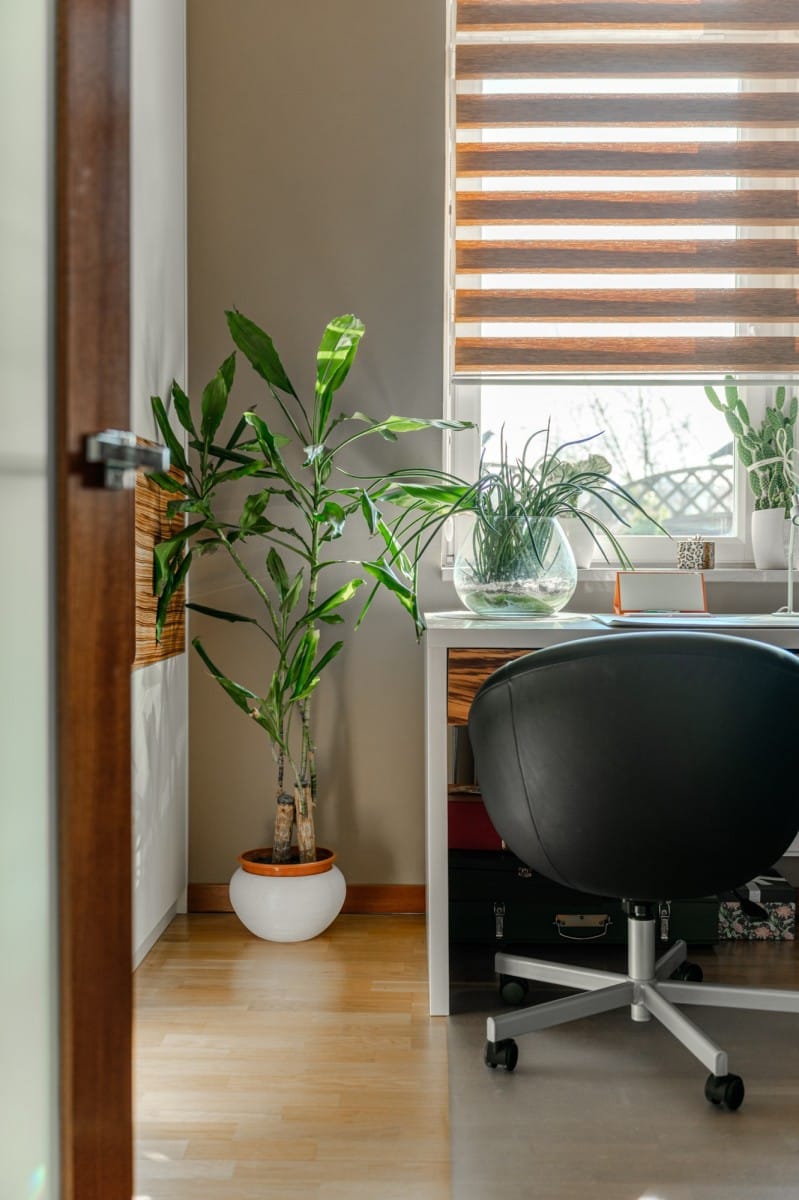 Mieszkanie 4 pokojowe na Sprzedaż