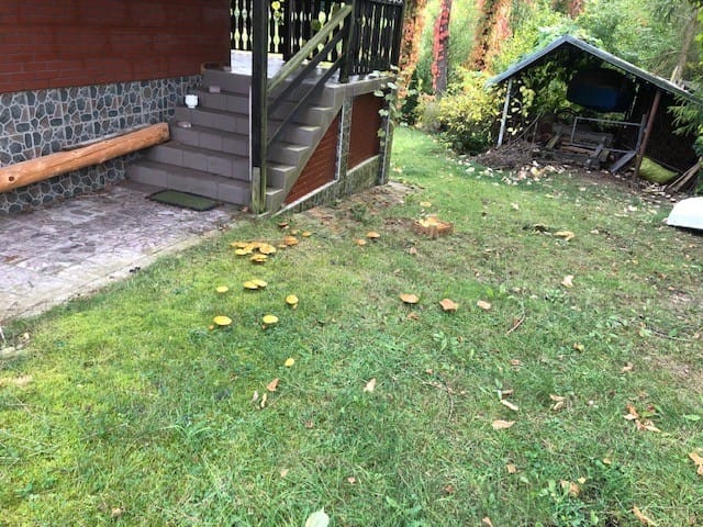 Dom 5 pokojowe na Sprzedaż