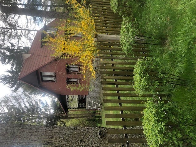 Dom 5 pokojowe na Sprzedaż