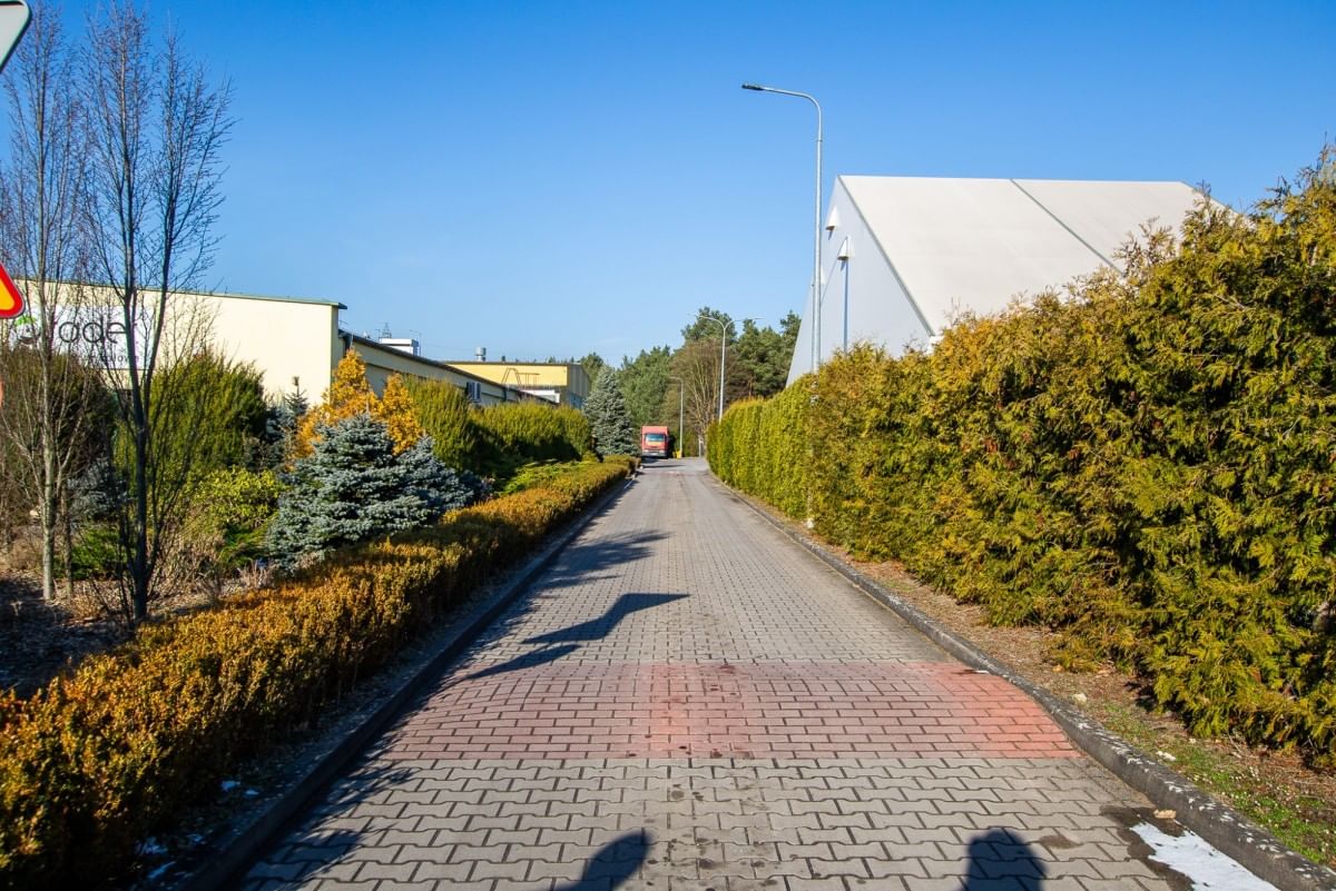 Lokal użytkowy  pokojowe na Wynajem
