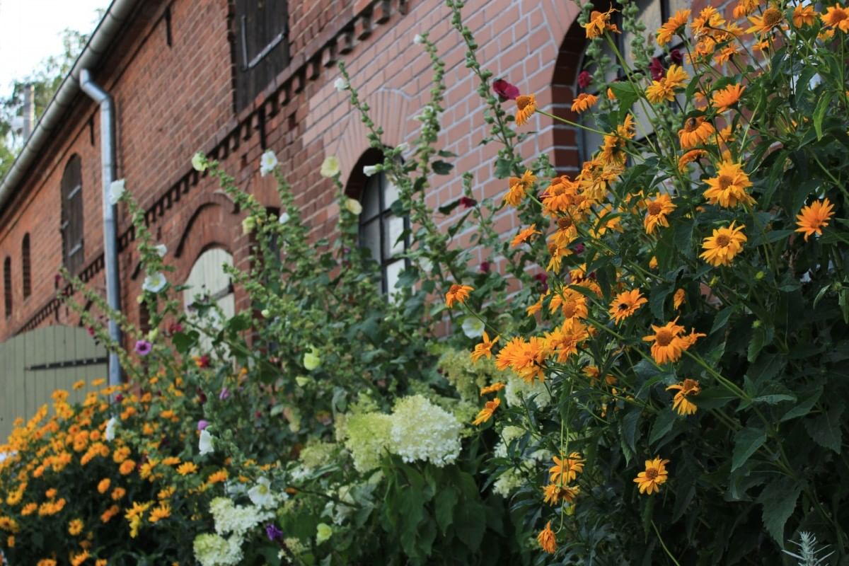 Dom 10 pokojowe na Sprzedaż