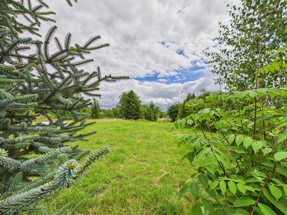 Dom 3 pokojowe na Sprzedaż