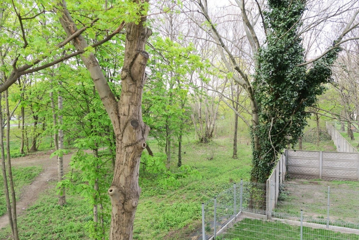 Mieszkanie 3 pokojowe na Wynajem