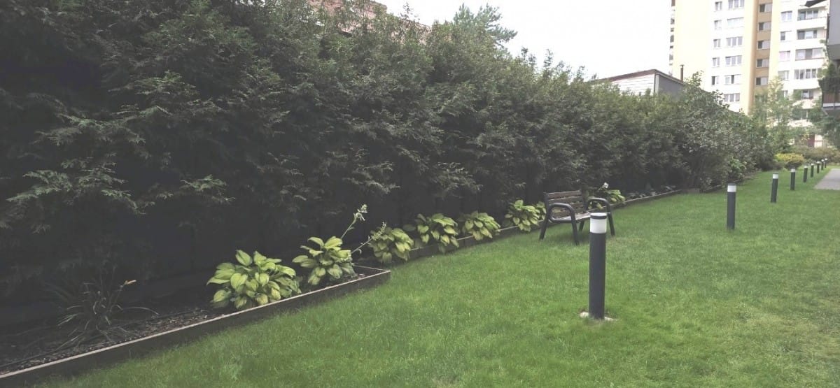 Mieszkanie 1 pokojowe na Sprzedaż